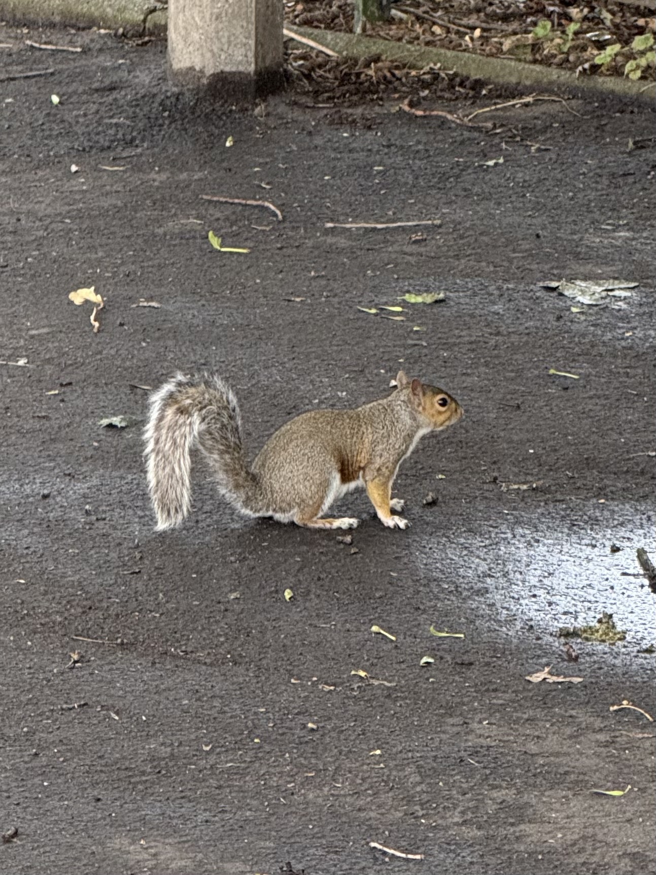 Hi, little guy!